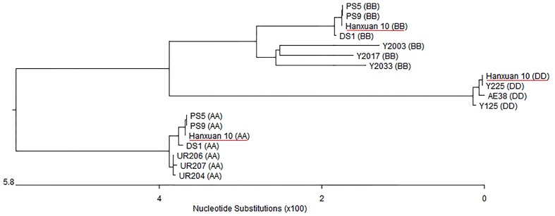 FIGURE 1