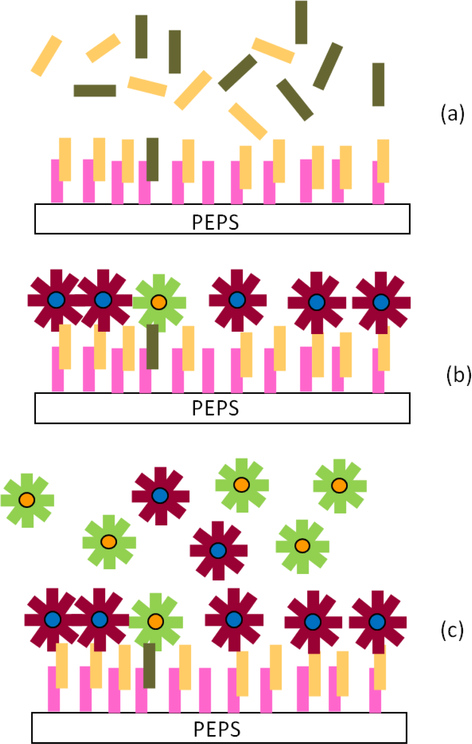 Fig. 10