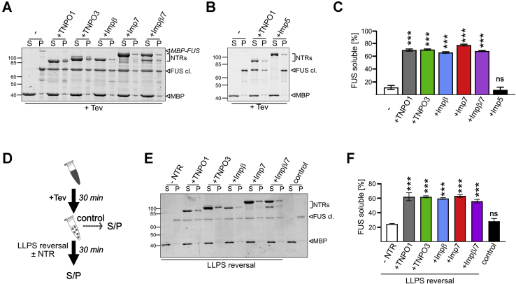 Figure 6