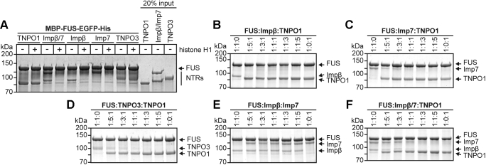 Figure 4