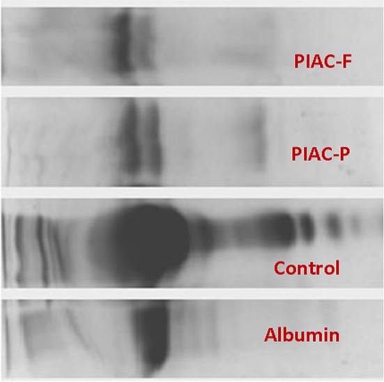 Fig. 6