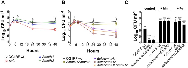 Fig 5