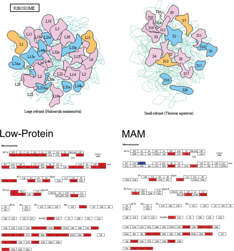 Fig 6