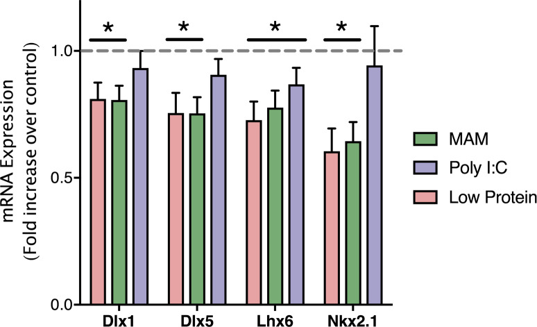 Fig 5