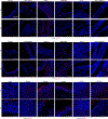 Extended Data Fig. 9 |