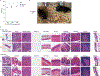 Extended Data Fig. 8 |