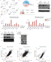 Extended Data Fig. 6 |