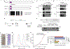Fig. 2 |