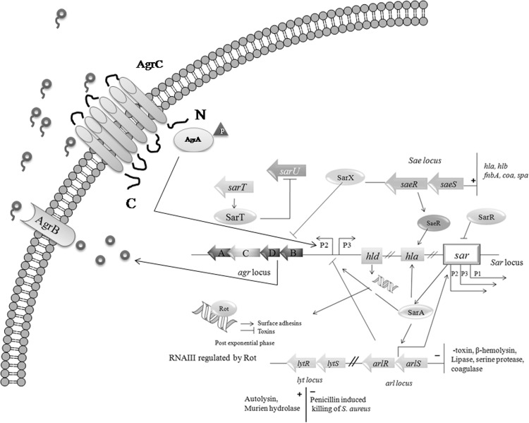 Fig. 1