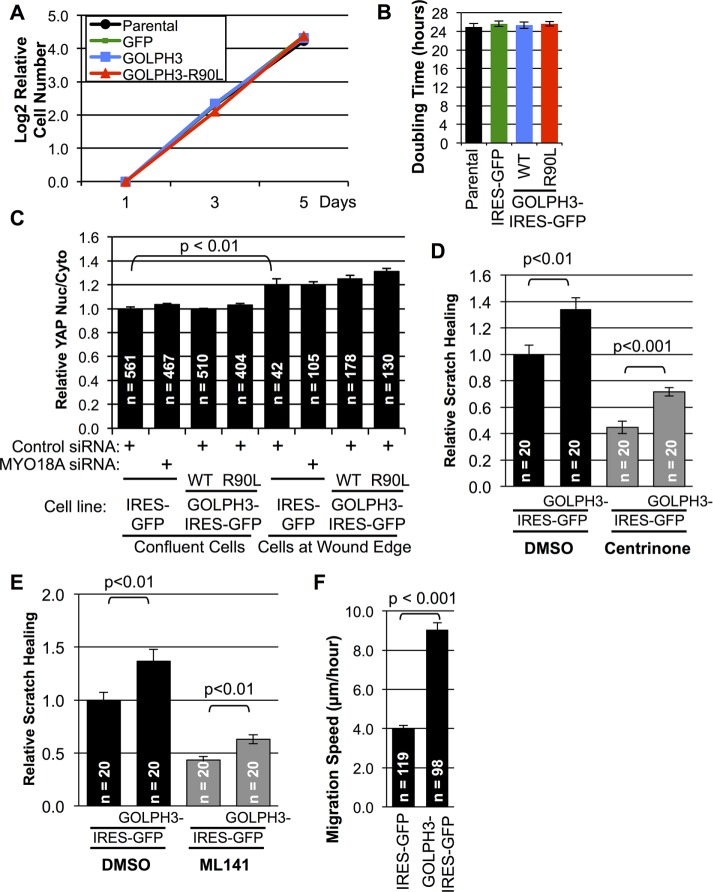 FIGURE 3: