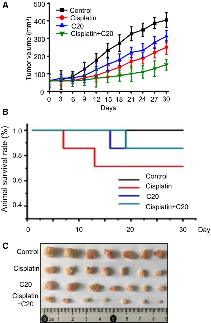 Figure 6