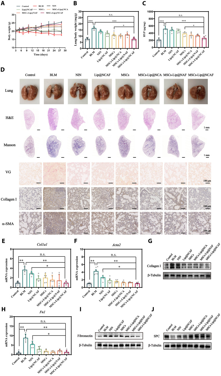 Fig. 6.