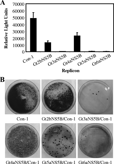 FIG. 3.