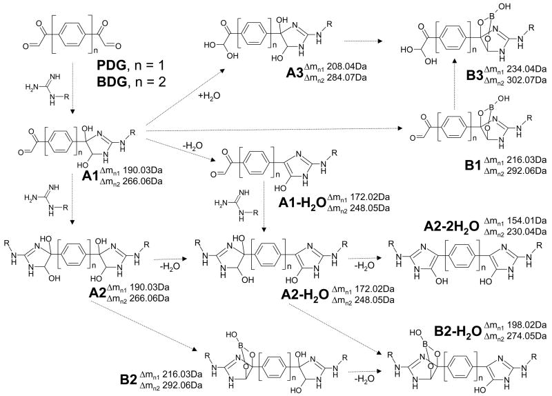 Scheme 2