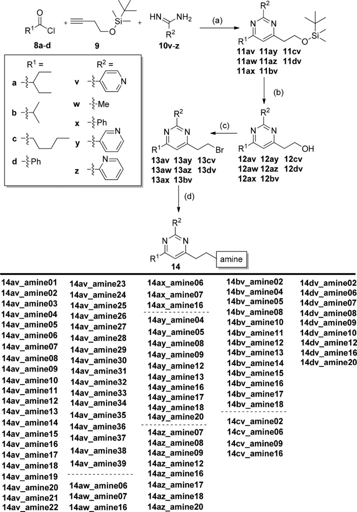 Scheme 1