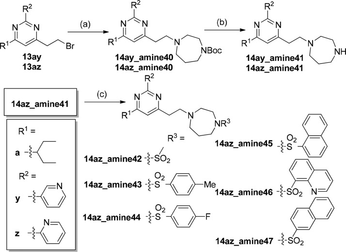 Scheme 2