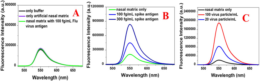 Figure 4: