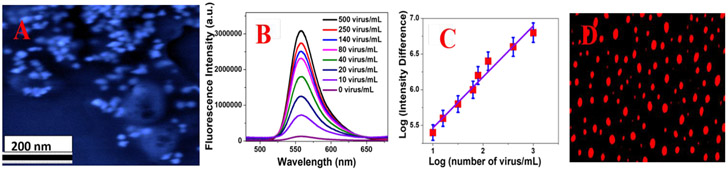 Figure 3: