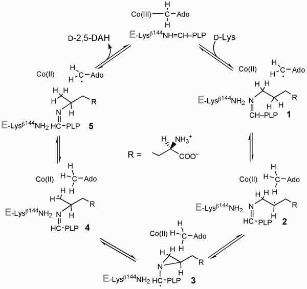 Scheme 1