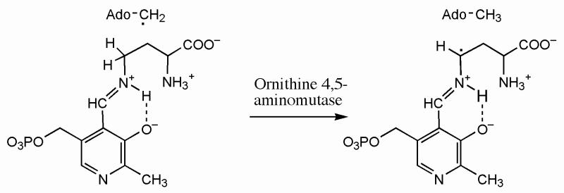 Scheme 3