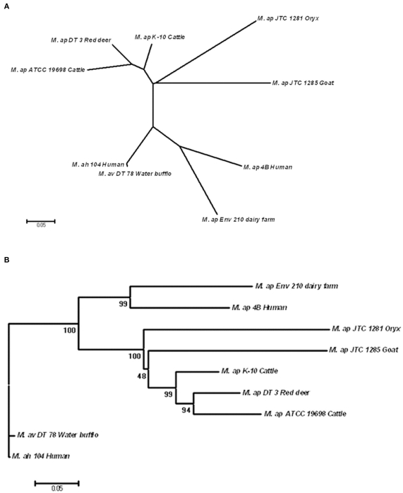 Figure 5