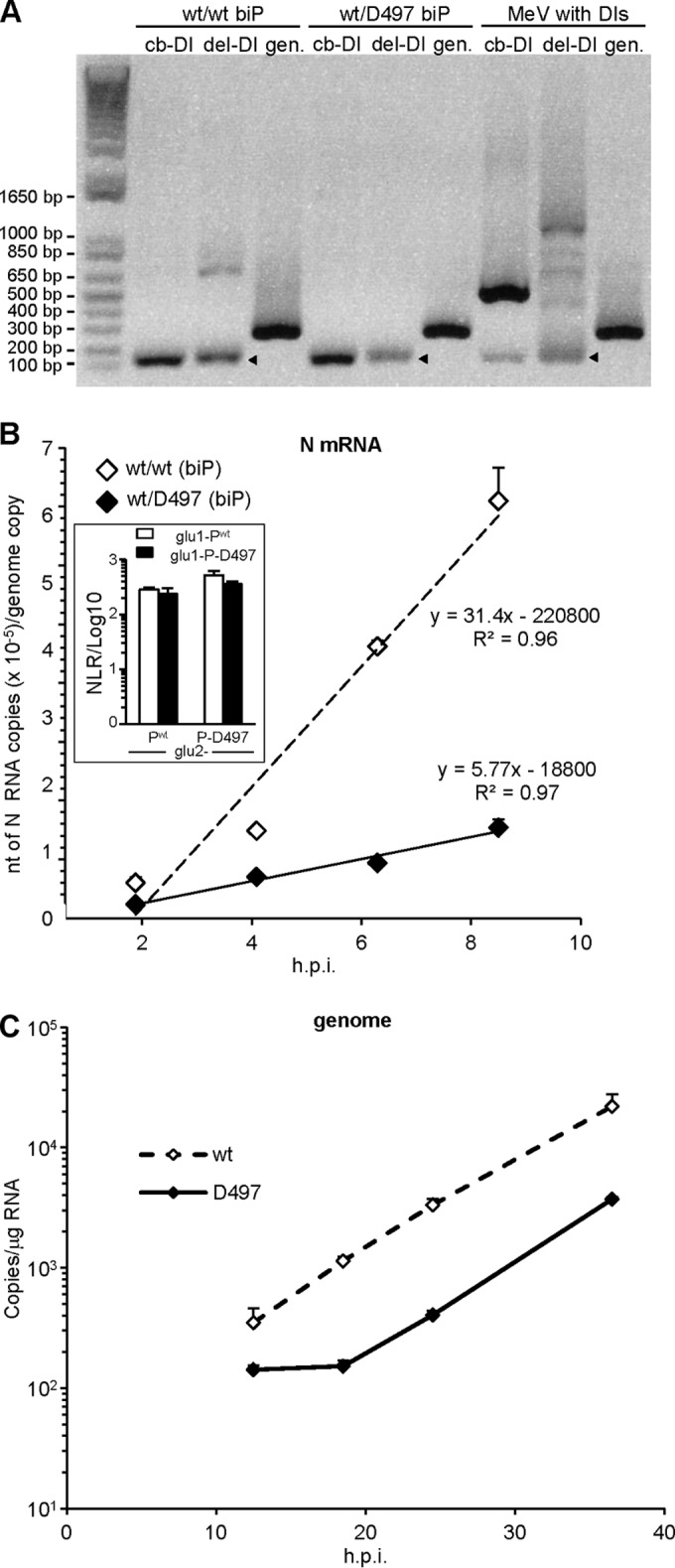 FIG 8