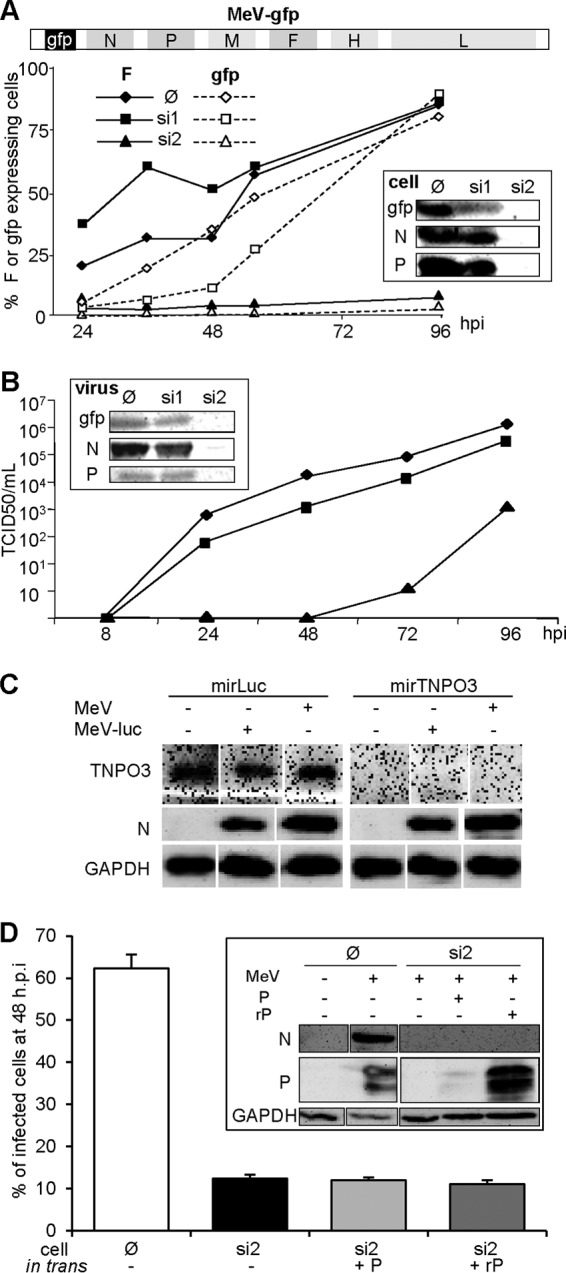 FIG 5