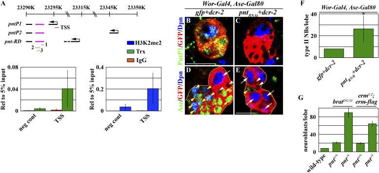 Figure 4—figure supplement 2.