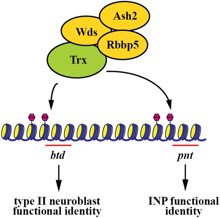 Figure 7.