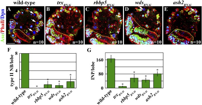 Figure 3—figure supplement 1.