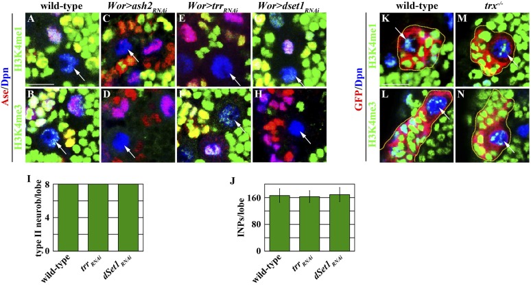 Figure 4—figure supplement 1.