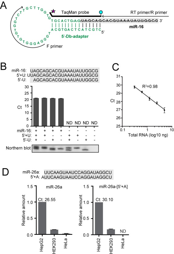 Figure 3.