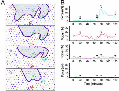 Fig. 4.