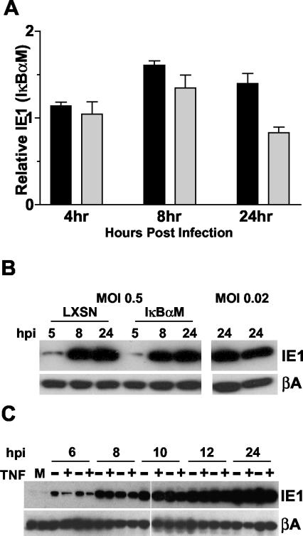 FIG. 7.