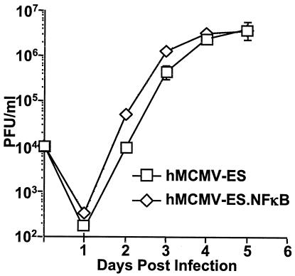 FIG. 2.