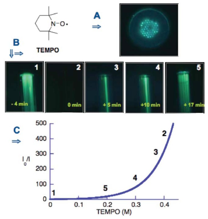 Figure 14.