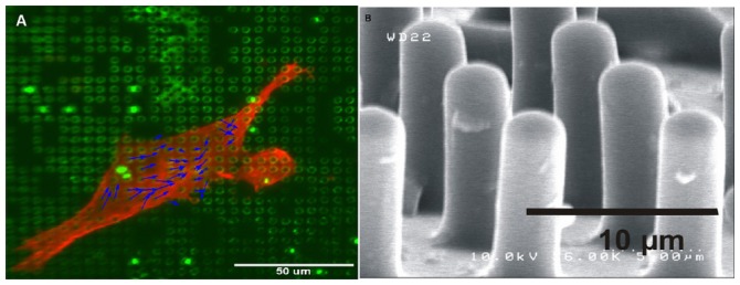 Figure 15.