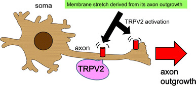 Fig. 2