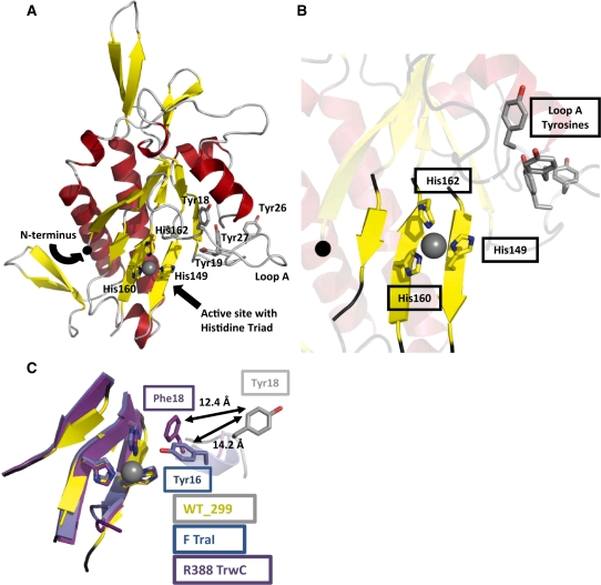 Figure 1.