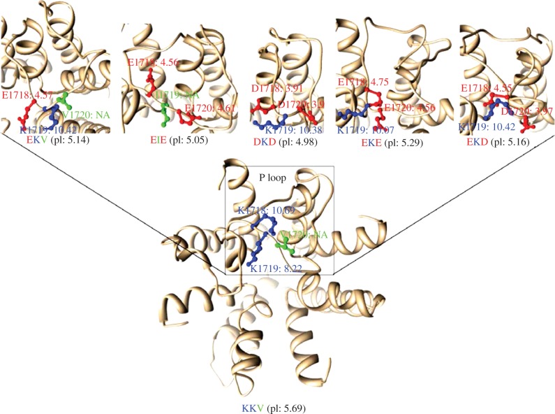 Figure 2.