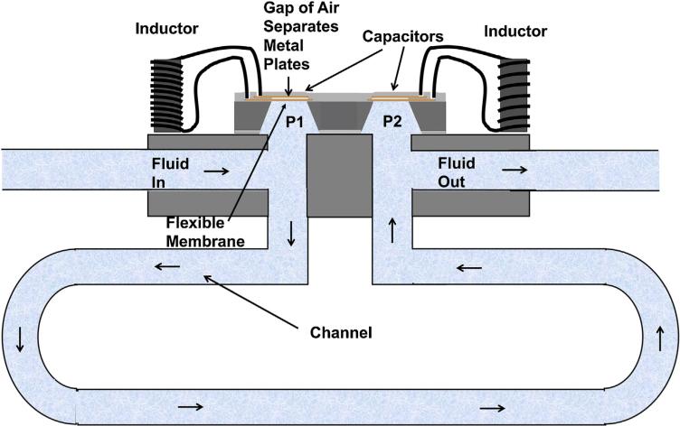 Fig. 6