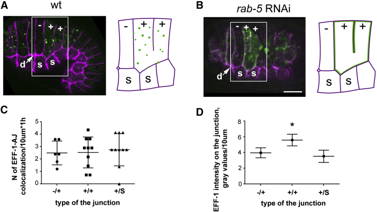 Figure 6