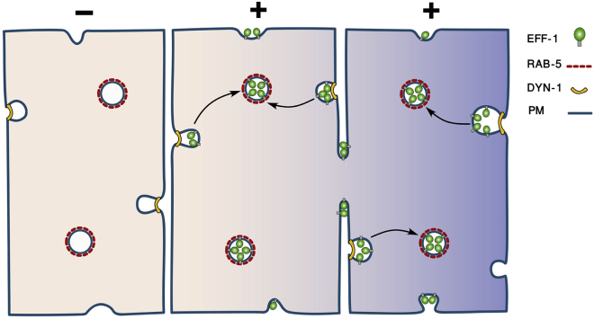 Figure 7