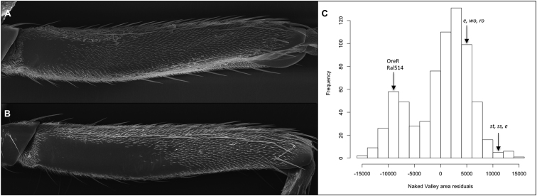 Figure 1