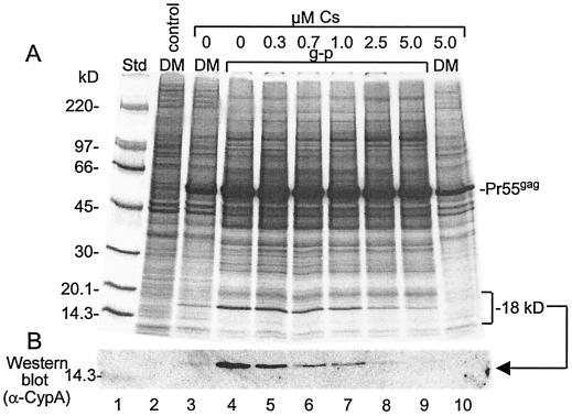 FIG. 7.