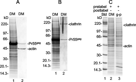 FIG. 9.