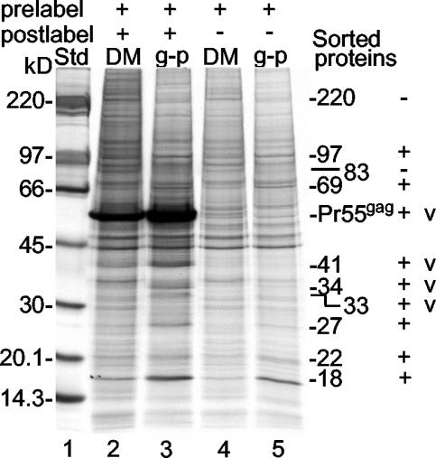 FIG. 5.