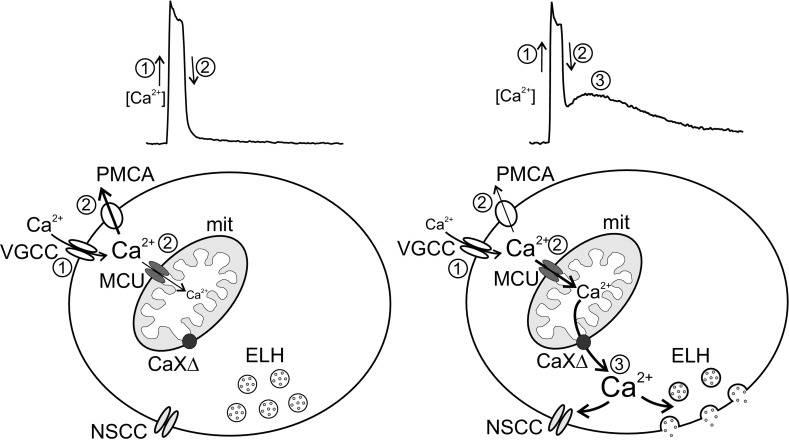 Fig. 9.