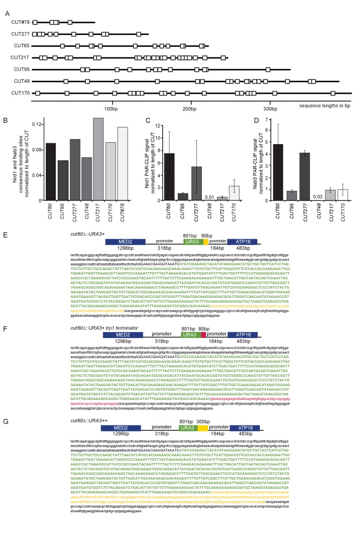 Figure 3—figure supplement 3.