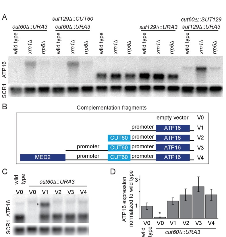 Figure 2.